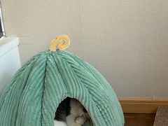 -月迷津渡(吾悦国际店)
