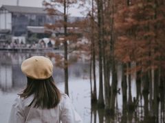 -白鹭湾湿地公园