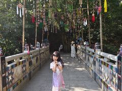 -西双版纳原始森林公园