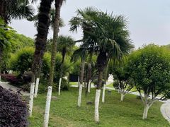 -沙市市中山公园