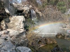 -八大山人梅湖景区
