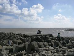 -南汇嘴观海公园