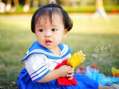 -万绿园