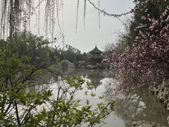 -莲池书院博物馆
