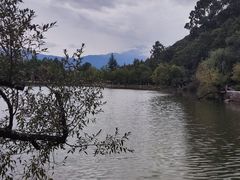 -黑龙潭公园