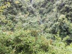 -鹿院坪生态旅游景区