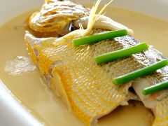 -三利音·浦之舟(滨江大道店)