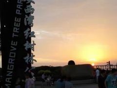 -宝安西湾红树林湿地公园