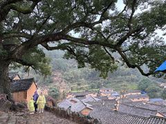 -杨家堂村