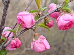 -白水寺森林公园