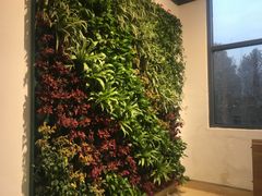 -五谷屯私房菜·始于2005(中山陵童卫路店)