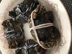 -乡乐园蟹庄·阳澄湖农家乐