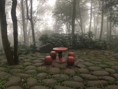 -茶颜悦色(岳麓山顶店)