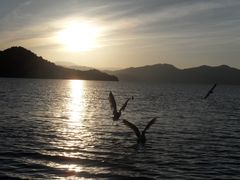 -丽江泸沽湖景区-里格半岛