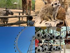 -大连森林动物园