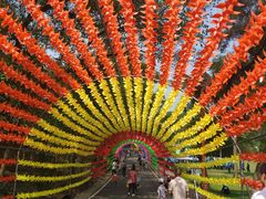 -南宁良凤江国家森林公园