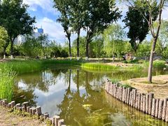 -莲花池公园