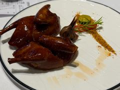 -天福苑(崇宁路店)