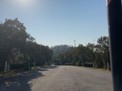 -羊山湖公园