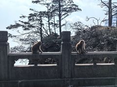 -峨眉山风景名胜区
