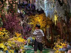 -正佳雨林生态植物园