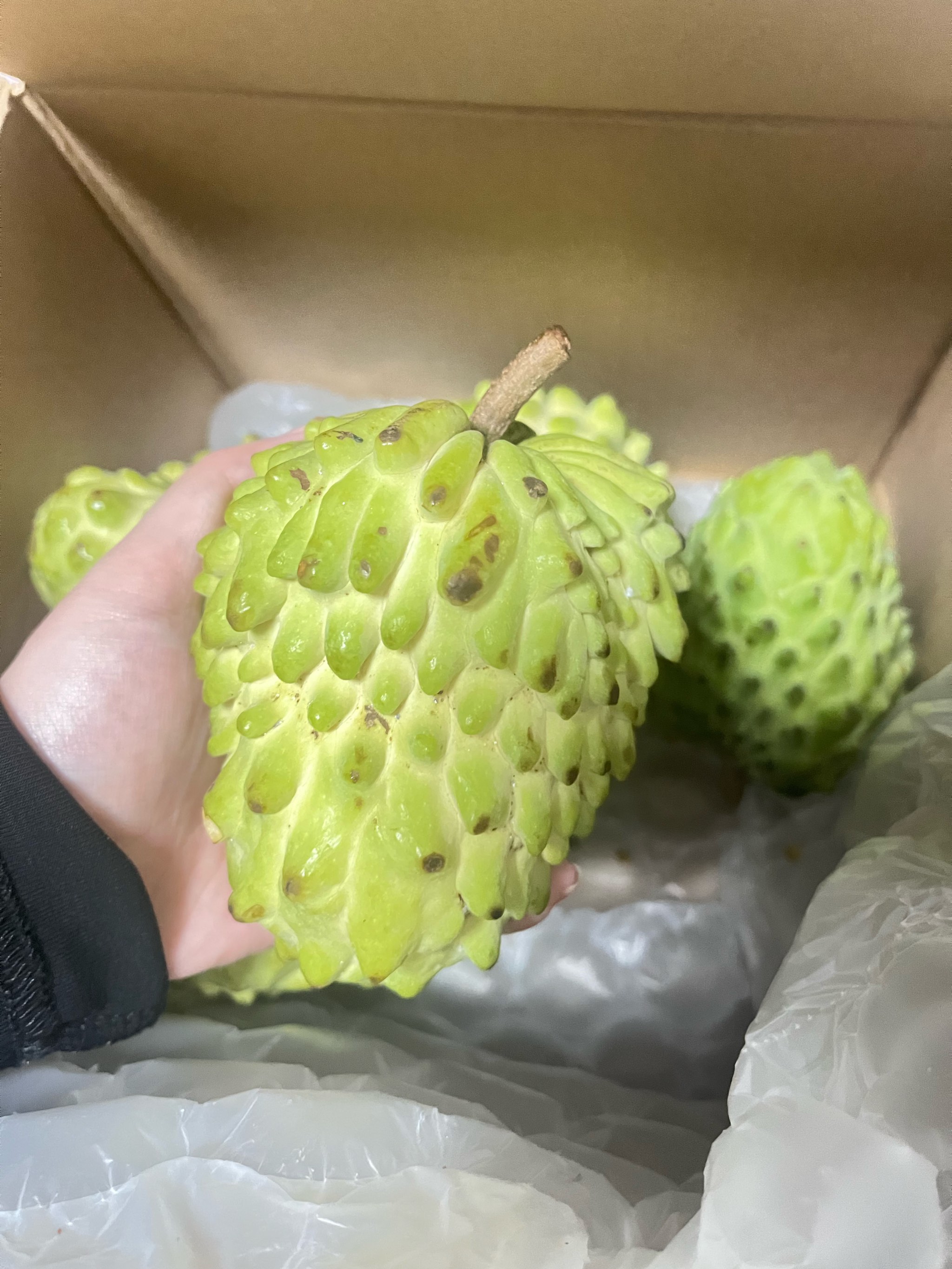 释迦果价格表今日价格