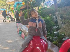 -海合安成都极地海洋公园