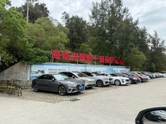 -广东惠东海龟国家级自然保护区