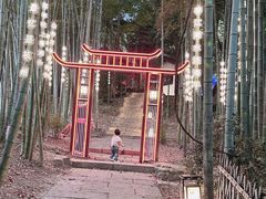 -杭州黄龙洞