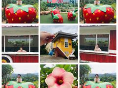 -倒立小屋
