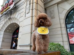 -万龙洲海鲜(大兴绿地缤纷城店)