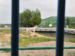 -鄂尔多斯野生动物园