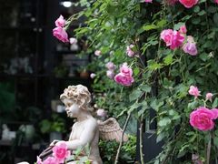 -良友花店(天目山路店)