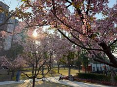 -新江湾城公园