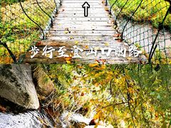 -三块石国家森林公园