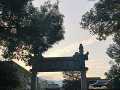 -王天顺海苔饼