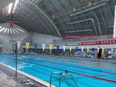 -二十一世纪饭店-游泳馆