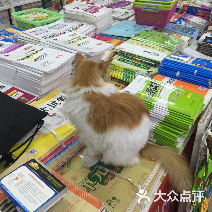 乌兰花书店