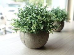 -友达面馆(二七南路店)