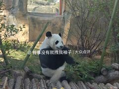 -青藏高原野生动物园