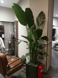 -崇尚GAVIN STYLE臻选