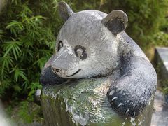 -神光山国家森林公园