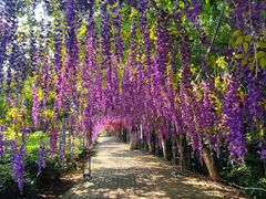 -宝岩生态观光园