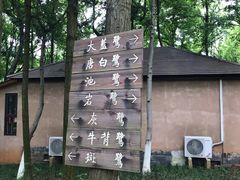 -象山森林公园