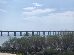 -宝安西湾红树林湿地公园