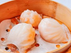喜粤虾饺皇-喜粤8号(四海唐人街店)