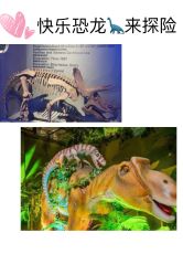 -恐龙探索乐园(磁器口店)