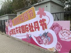 -太阳宫公园