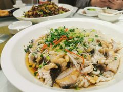 -三猫黑鱼花(南大店)