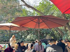 -鸡鸣汤包(红山动物园店)